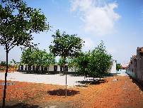 瑪咖壓片糖果oem代加工 德州健之源廠(chǎng)景