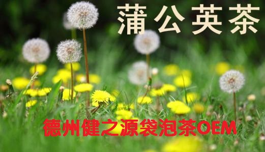 蒲公英茶，今天您喝了嗎？