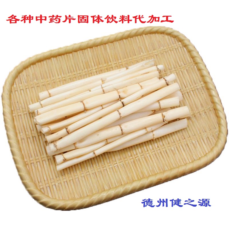 秋飲蘆根水 百病不生更硬朗